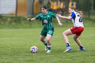 Bild 241 - wBJ Hamburger SV - SV Werder Bremen : Ergebnis: 2:2